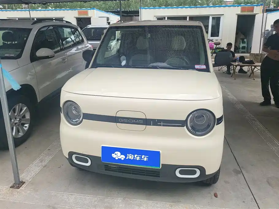 Galaxy Panda 2025
