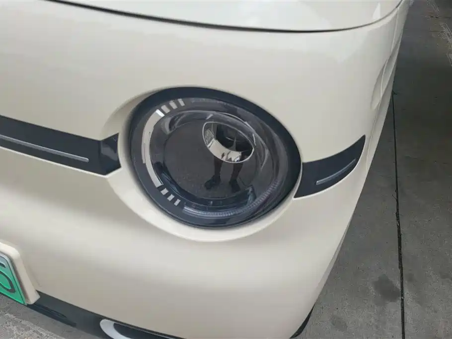 Galaxy Panda 2025