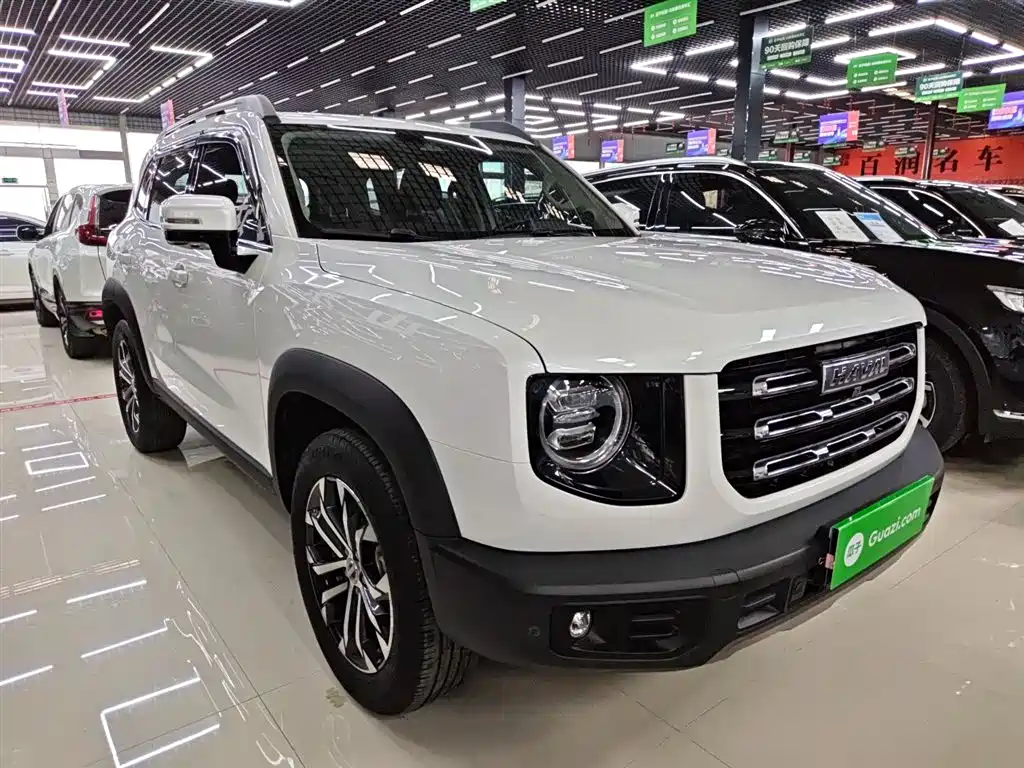 Haval Big Dog 2023 — фото 4