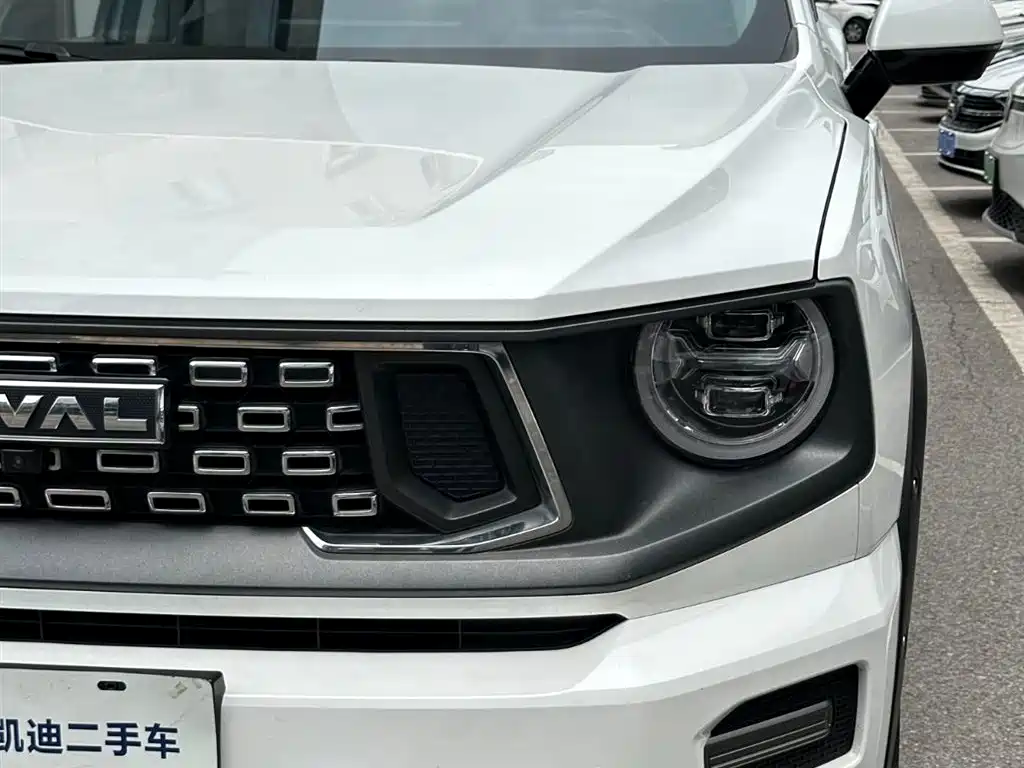Haval Dog PLUS 2024 — фото 14