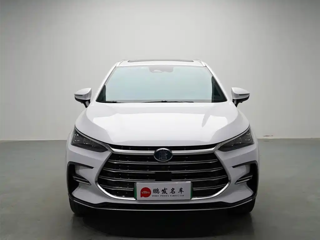 BYD Tang New Energy 2023 — фото 2