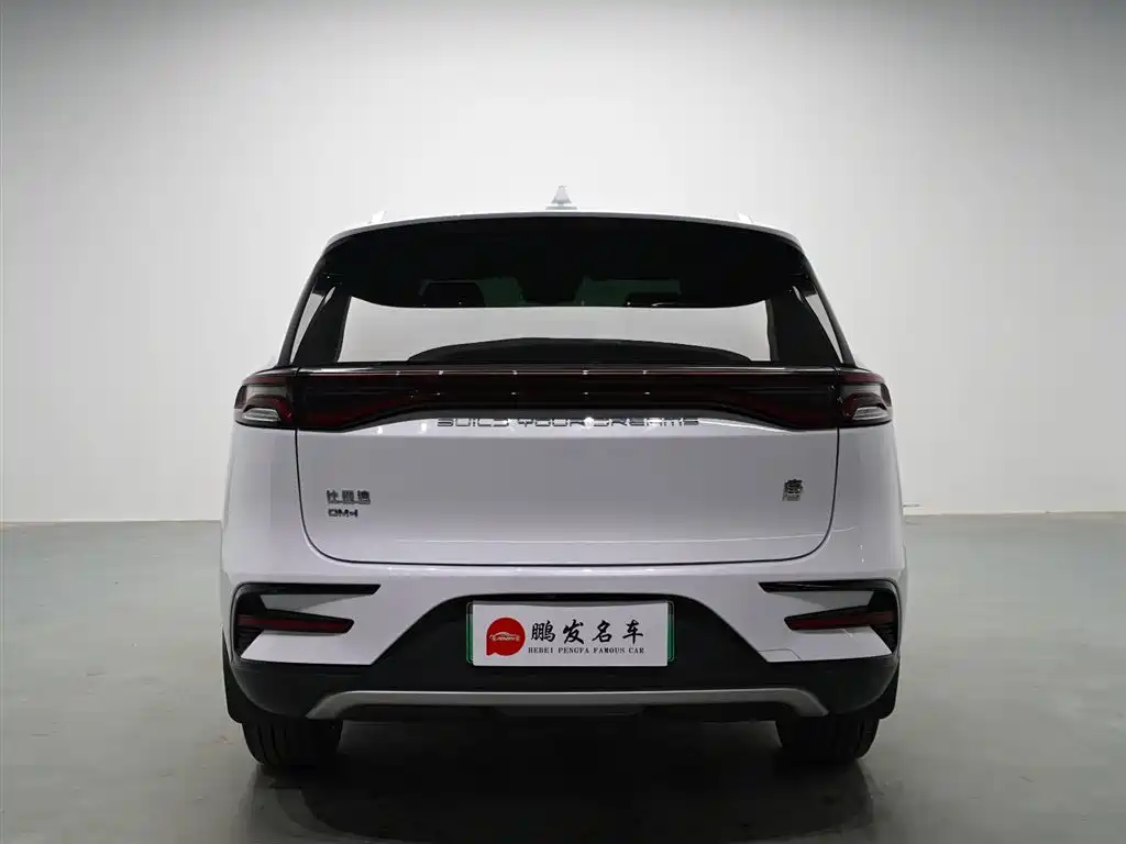 BYD Tang New Energy 2023 — фото 16