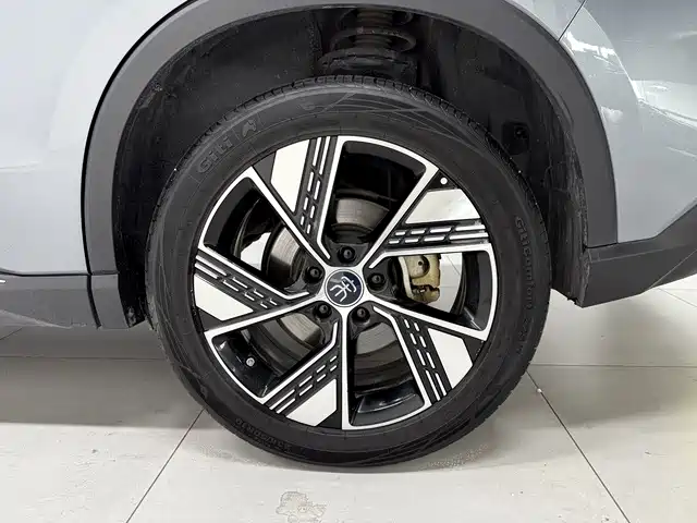 BYD Pro New Energy 2024 — фото 10