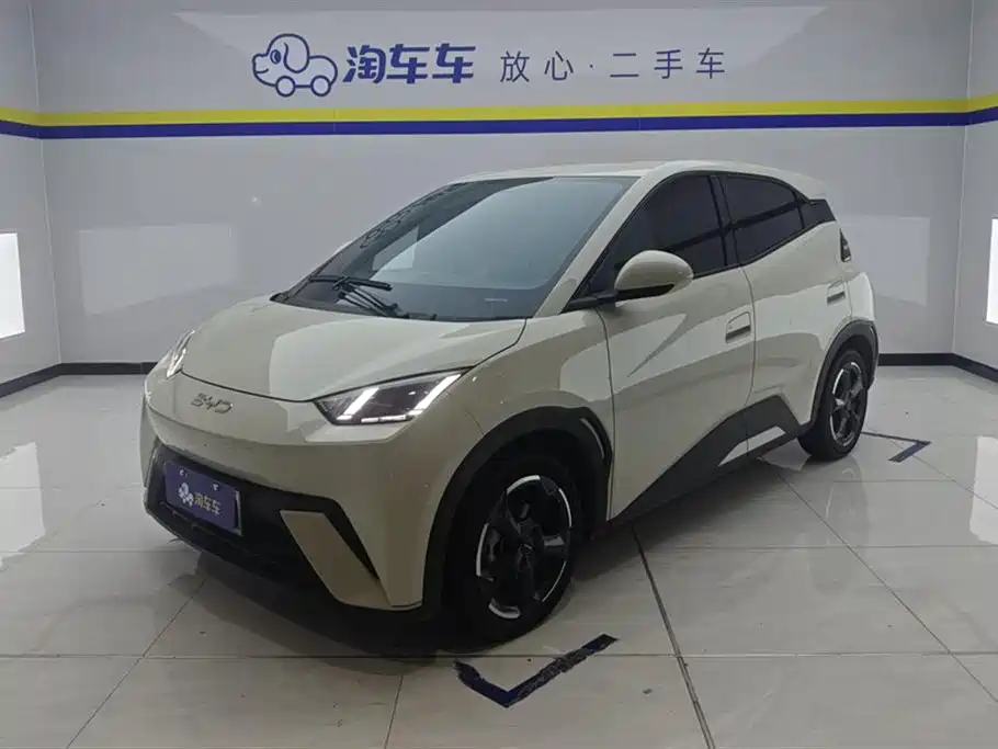 BYD Seagull 2024