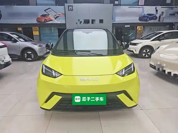 BYD Seagull 2024