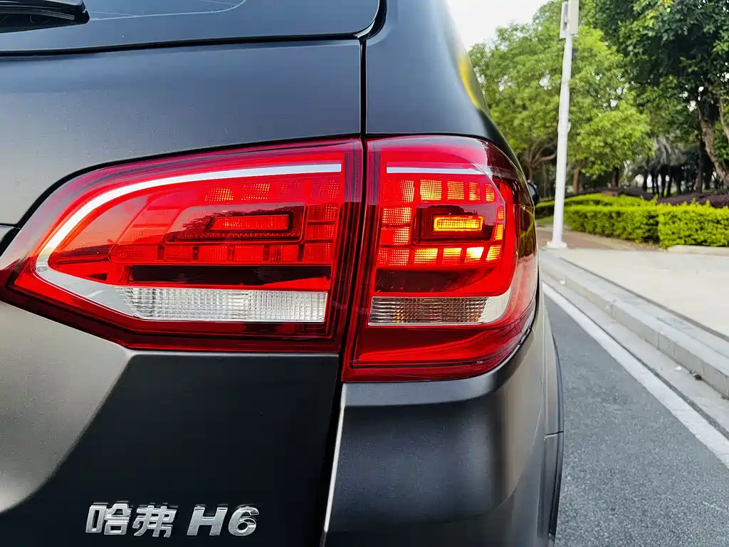 Haval H6 2019 — фото 10