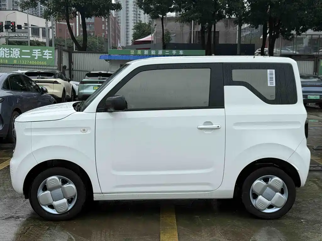 Galaxy Panda 2025
