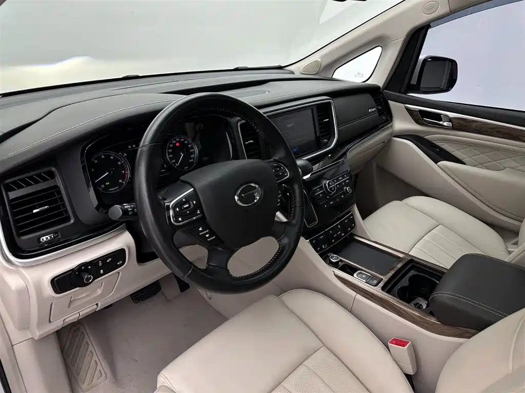 GAC Trumpchi M8 2019 — фото 16