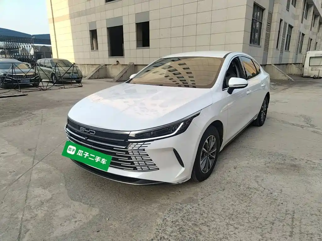 BYD Destroyer 05 2024 — фото 2