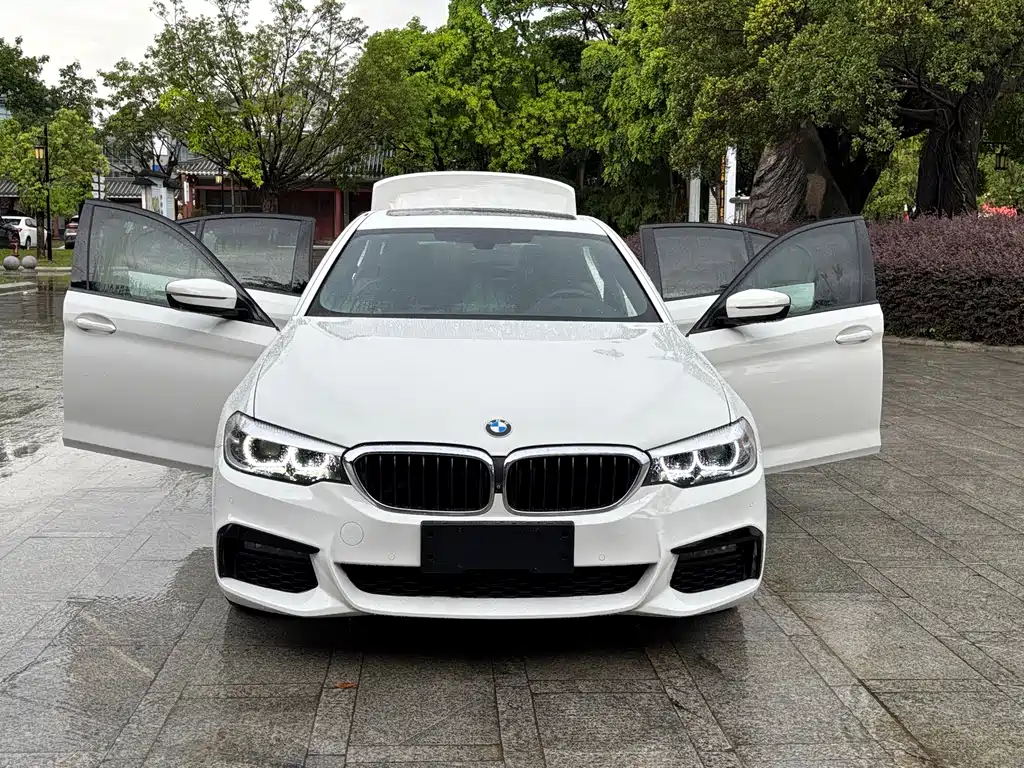 BMW 5 Series 2019 — фото 17