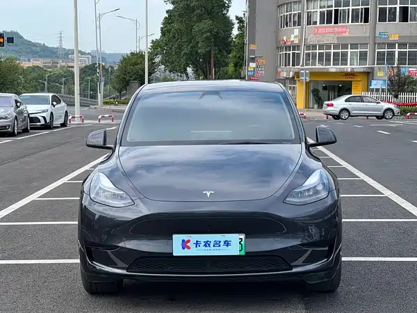 Tesla Model Y 2025
