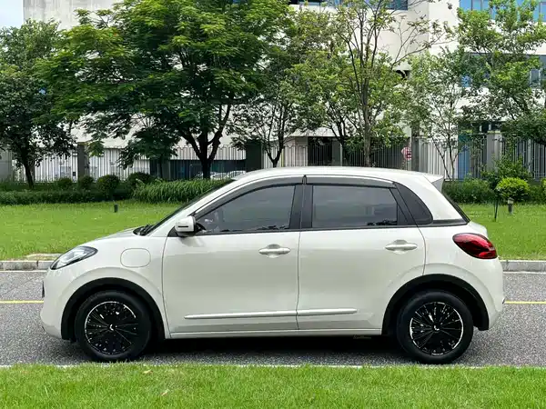 Wuling Bingo 2024