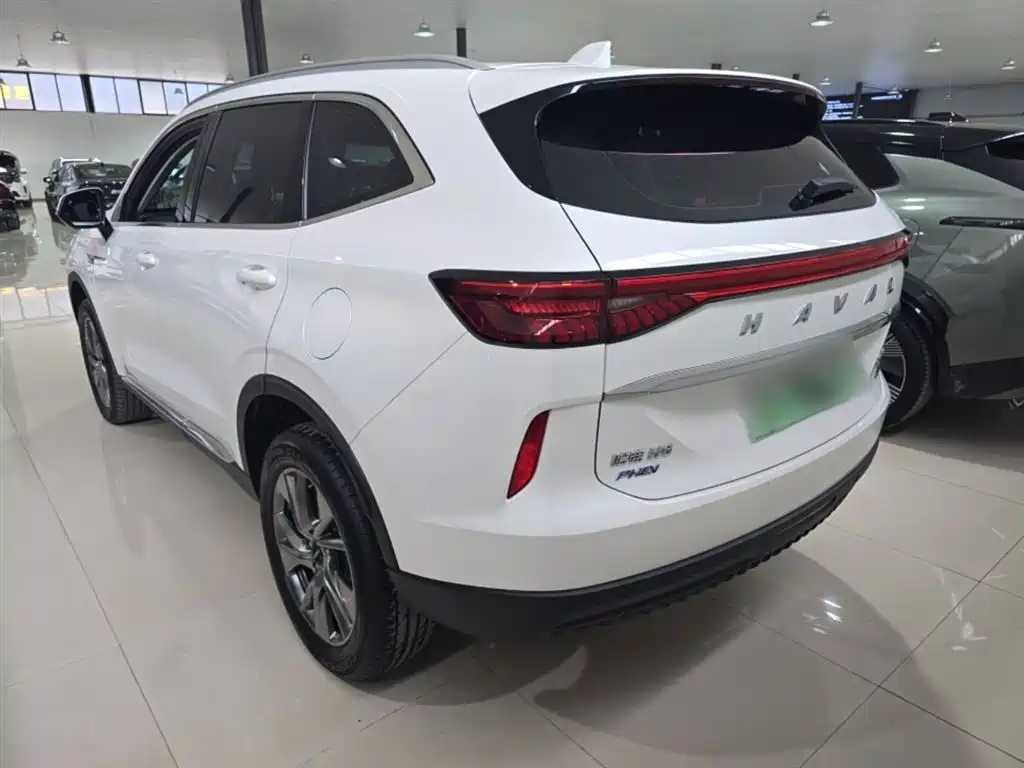 Haval H6 New Energy 2024 — фото 5