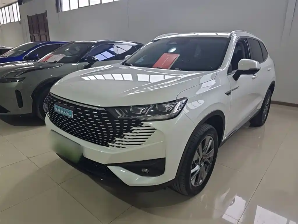 Haval H6 New Energy 2024 — фото 2