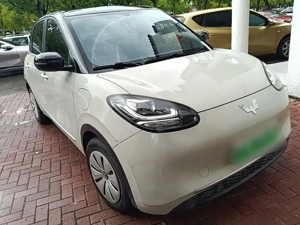Wuling Bingo 2024