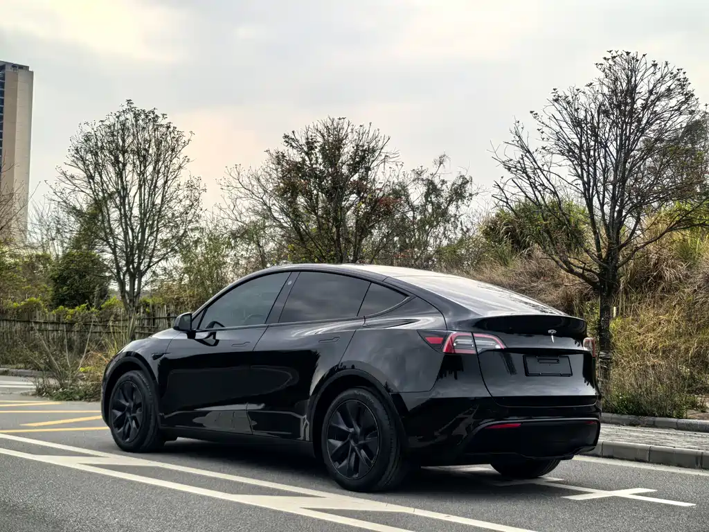 Tesla Model Y 2023 — фото 4