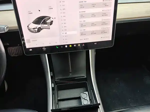 Tesla Model 3 2019
