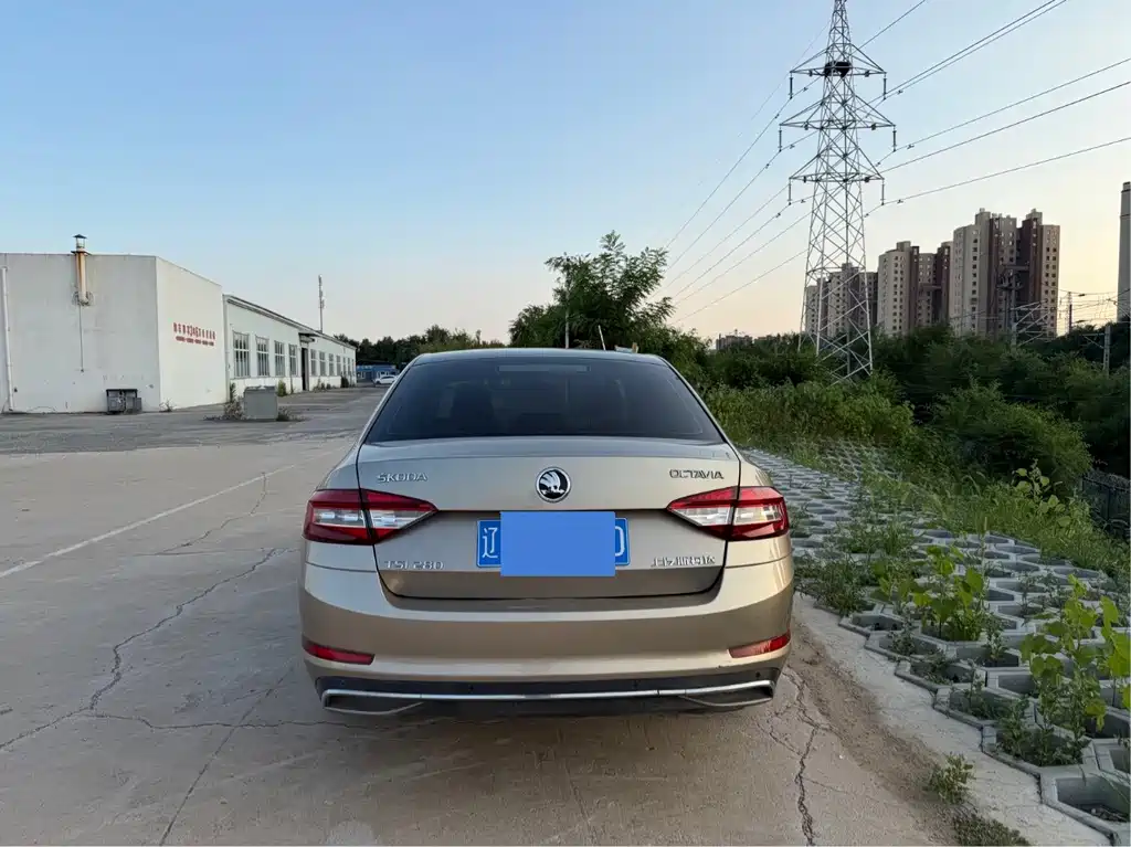 Skoda Octavia 2017 — фото 16