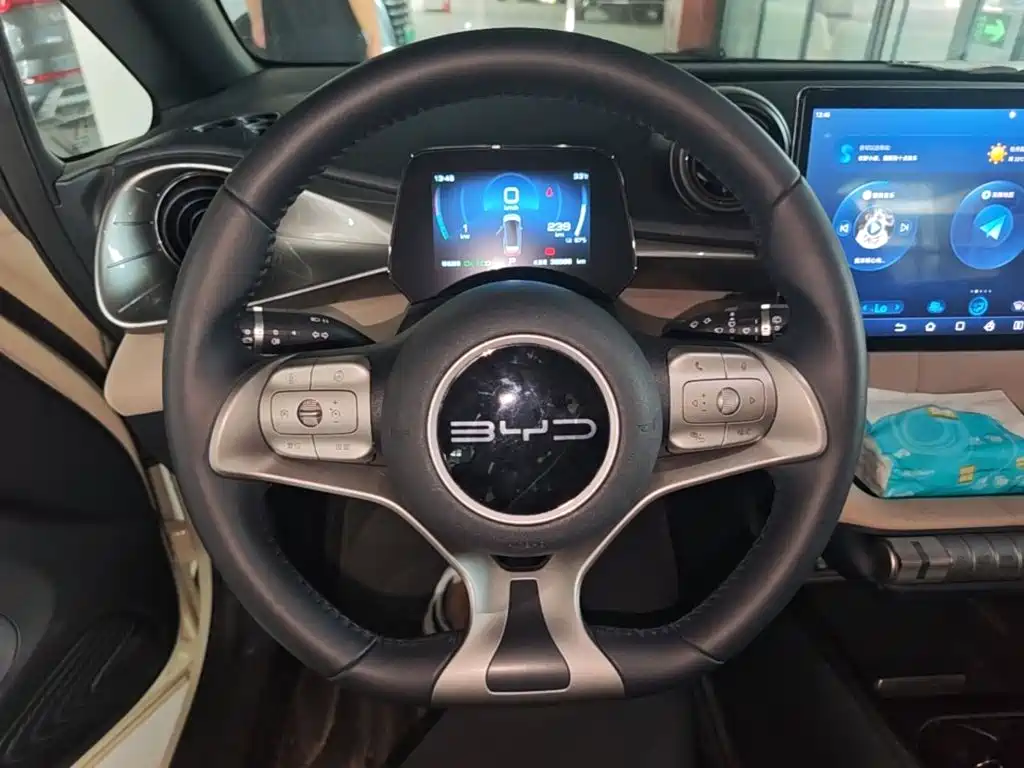 BYD Dolphin 2023 — фото 11