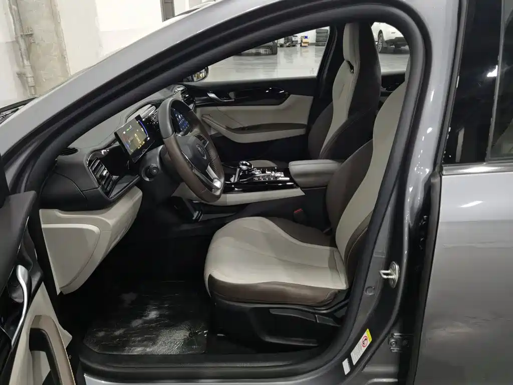 BYD Qin PLUS 2024 — фото 10