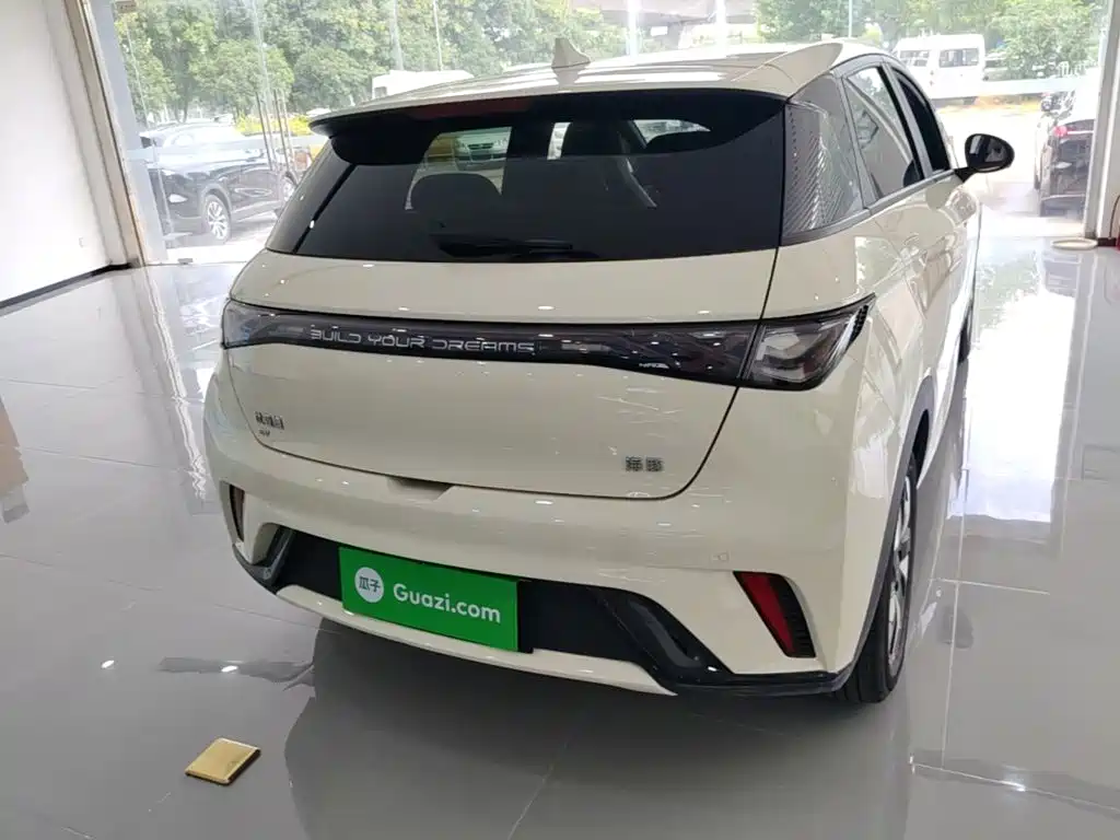 BYD Dolphin 2024