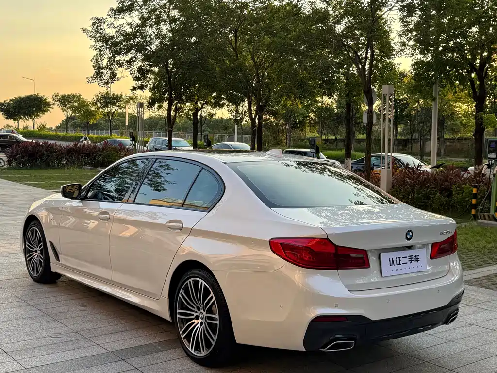 BMW 5 Series 2019 — фото 12