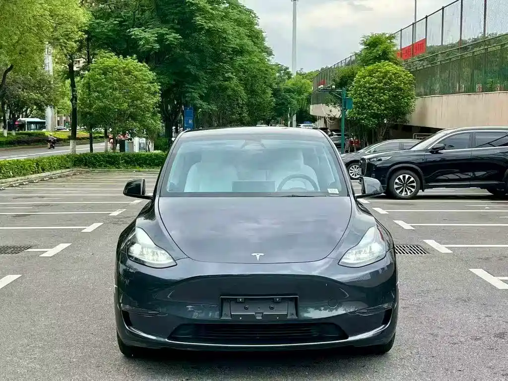 Tesla Model Y 2024 — фото 2