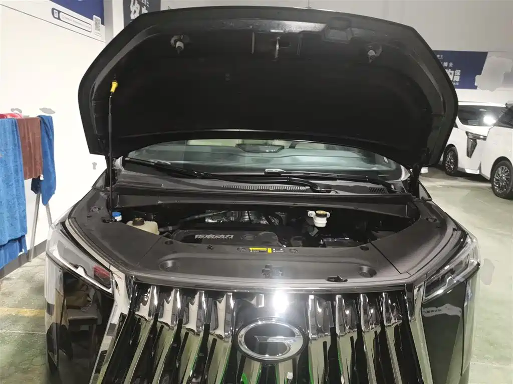 GAC Motor Trumpchi M8 2023 — фото 20