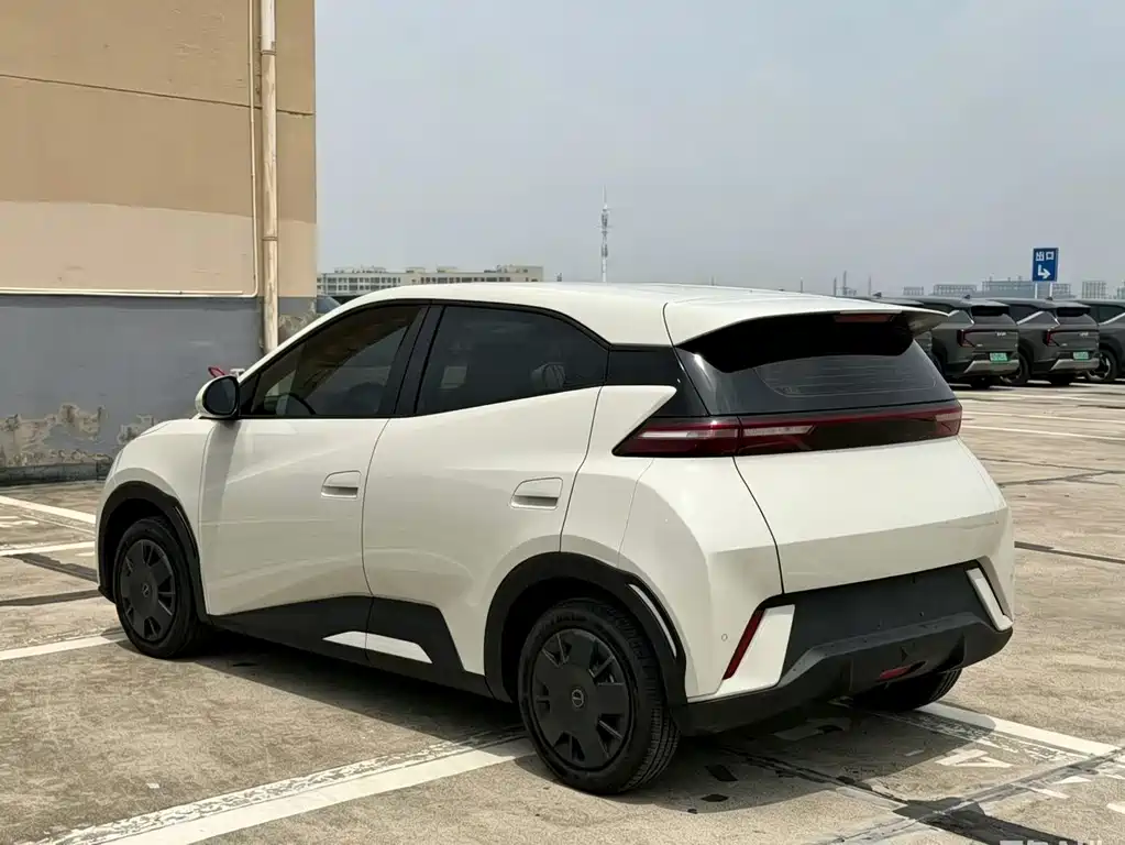 BYD Seagull 2024