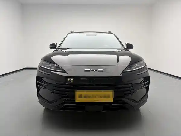 BYD Song PLUS New Energy 2024