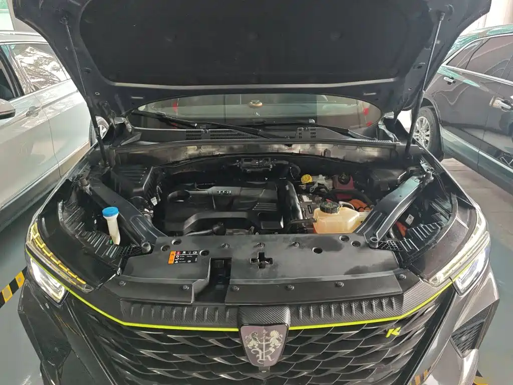 Roewe RX5 New Energy 2021 — фото 16