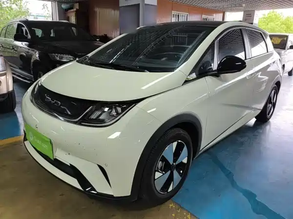 BYD Dolphin 2024