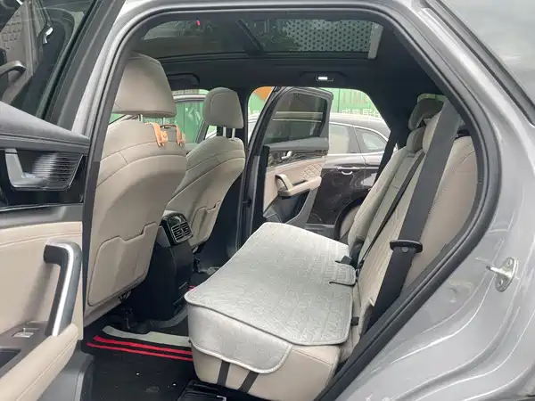 BYD Tang New Energy 2025
