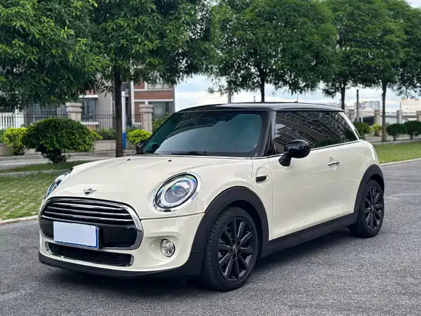 MINI 2019