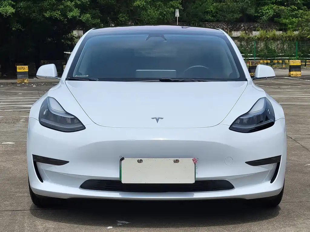 Tesla Model 3 2019 — фото 2