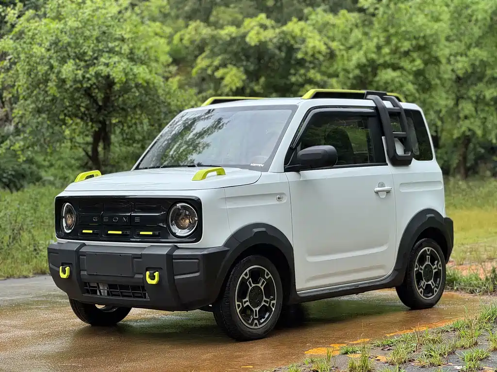 Geely Galaxy Panda 2024 — фото 1