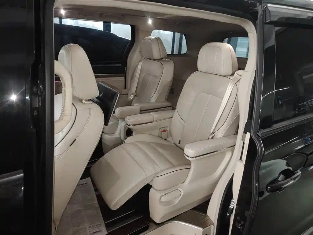GAC Motor Trumpchi M8 2022 — фото 17