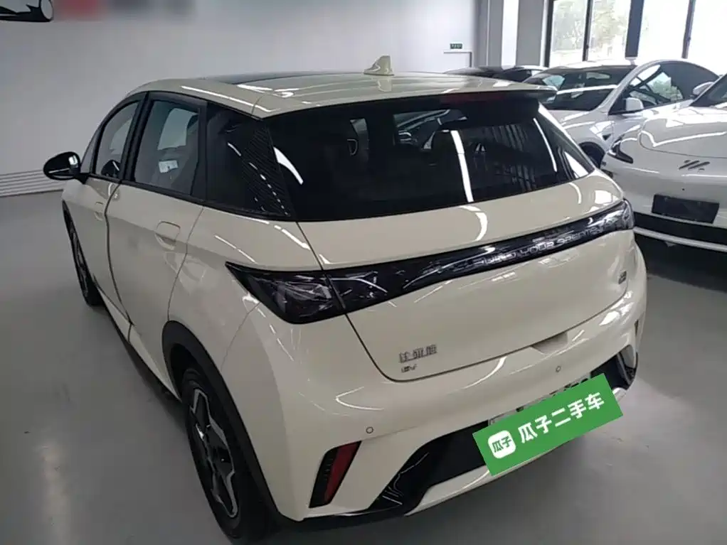BYD Dolphin 2022