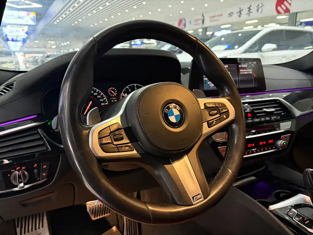 BMW 5 Series 2019 — фото 13