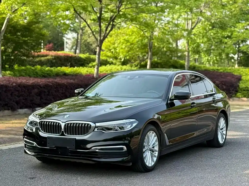 BMW 5 Series 2019