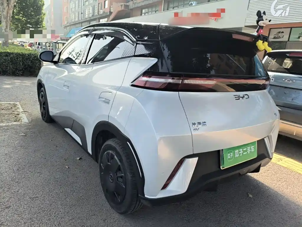 BYD Seagull 2024