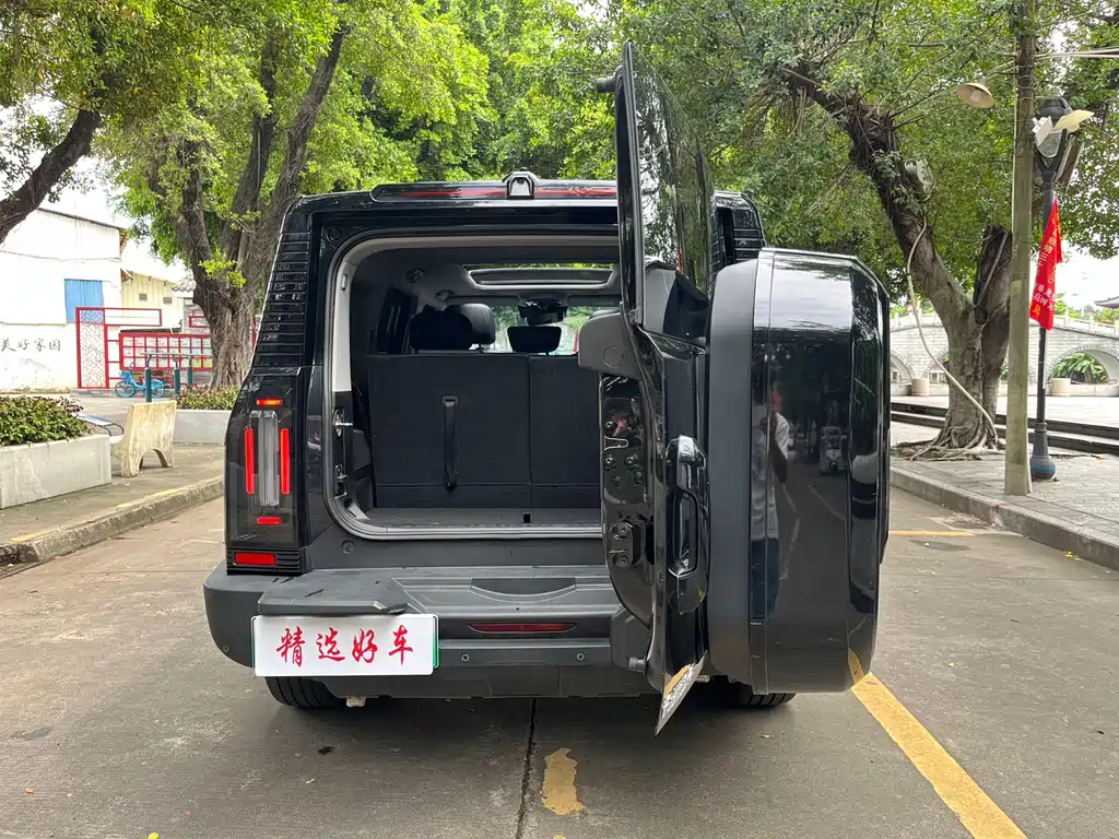 Shanhai Traveller C-DM 2025 — фото 7
