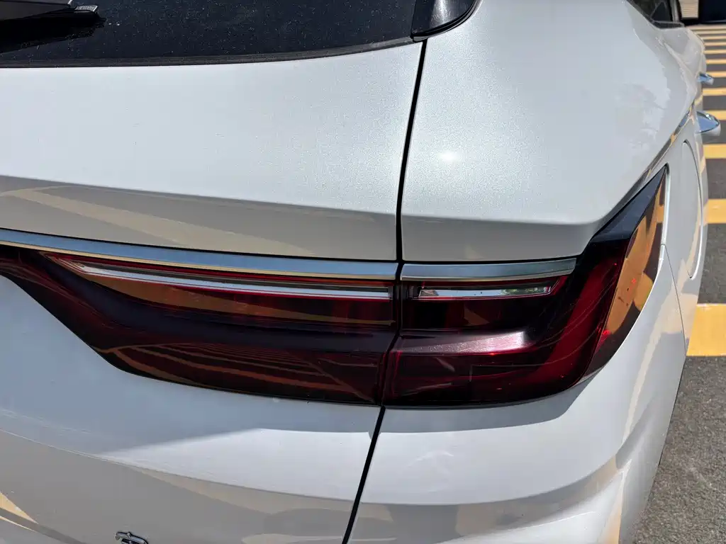 BYD PLUS New Energy 2023 — фото 14