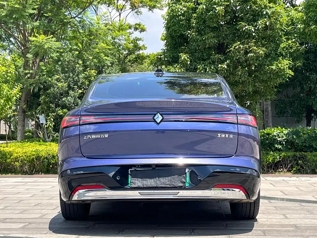 Baojun Enjoys The Environment 2025 — фото 8