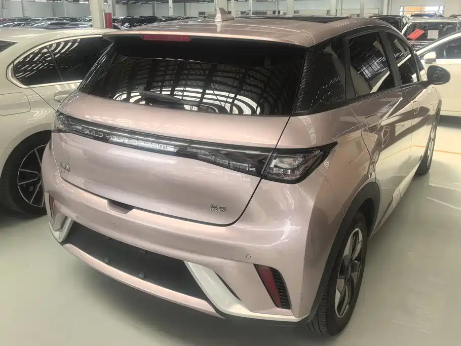 BYD Dolphin 2024