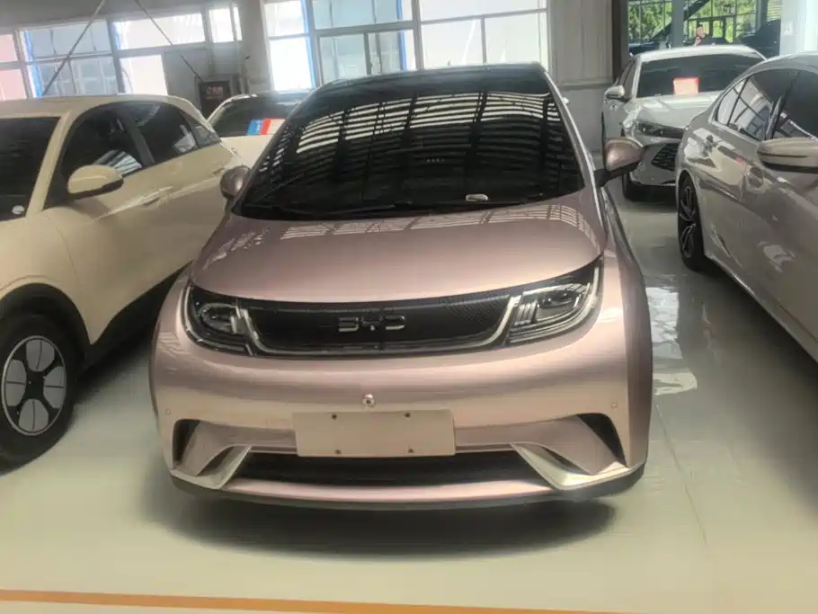 BYD Dolphin 2024
