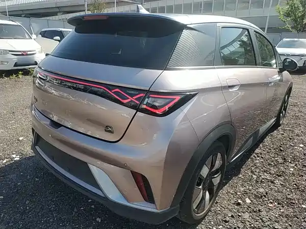 BYD Dolphin 2021