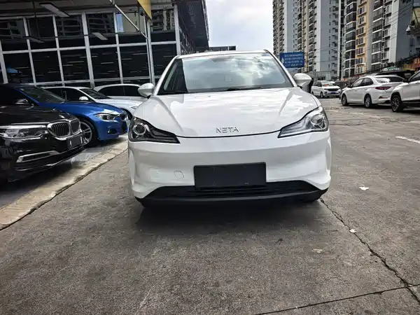 Neta V 2022