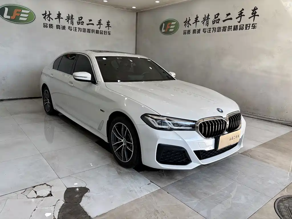 BMW 5 Series New Energy 2022