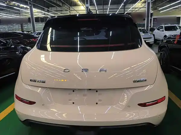 Ora Good Cat 2023